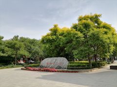 -杨柳青庄园