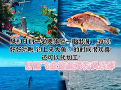 -日照灯塔风景区