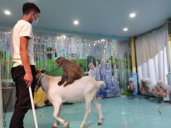 -酷嗒动物文化乐园(cutezoo西溪乐天城店)