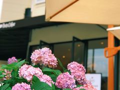 -Peet's Coffee皮爷咖啡(大学路店)