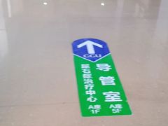 -天津医科大学第二医院