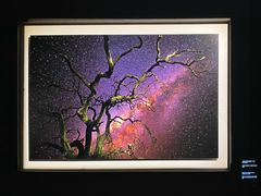 -罗红摄影艺术馆