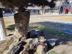 -护国法轮寺
