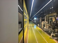 -Liking健身(哈尔滨旗舰店)