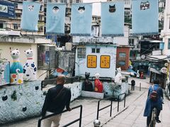 -猫咪博物馆(顶澳仔猫街店)