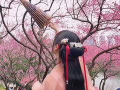 -重庆彩云湖湿地公园