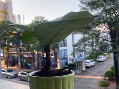 -星力动漫游戏产业园