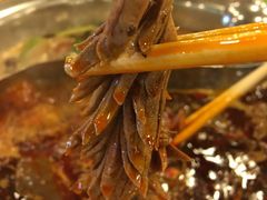 -朱氏胖子烂火锅(洪崖洞店)