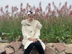 -三圣花乡旅游区