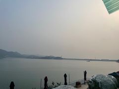 -望湖烤鱼