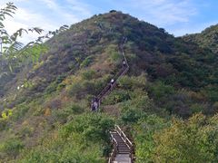-大岭沟猕猴桃谷风景区