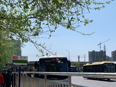 -园博园(地铁站)