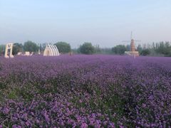 -渔岛海洋度假区