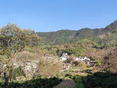-塔川景区