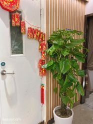 -永琪护肤造型