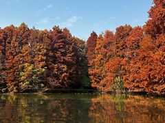 -上海海湾国家森林公园