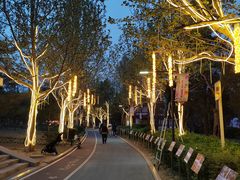 -太阳宫公园