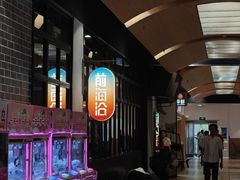 -前海沿·青岛菜(五四广场永旺店)