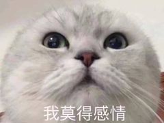 -中影星美国际影城(万家丽店)
