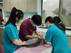 -北京观赏动物医院·24小时大型综合·猫专科·异宠专科