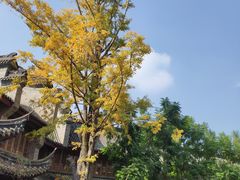 -龙潭水乡