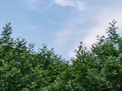 -楠溪江风景名胜区