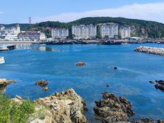 -大连老虎滩海洋公园