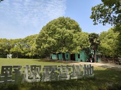 -同里国家湿地公园