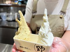 -野人先生Gelato(上海长宁龙之梦店)