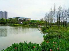 -东郊湿地公园
