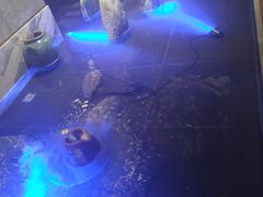 -南京瀚金佰九号温泉酒店
