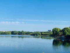 -大兴滨河森林公园