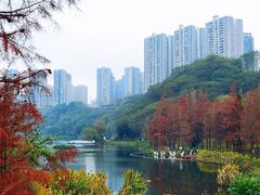 -重庆彩云湖湿地公园