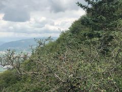 -老爷山风景区