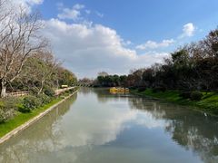 -上海海湾国家森林公园