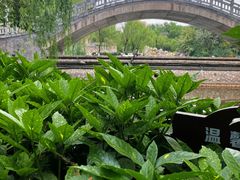 -西安市长乐公园
