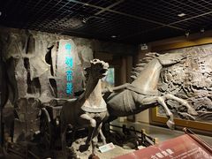 -马鞍山市博物馆