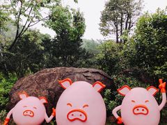 -广州市帽峰山景区