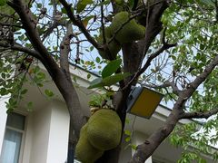 -三亚亚龙湾雅高美爵酒店