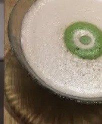 -柴务处·柴犬主题狗咖