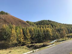 -苏木山森林公园