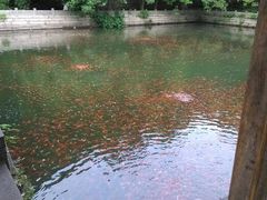-普陀山风景名胜区-法雨禅寺