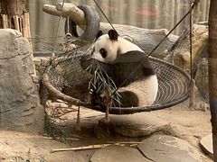 -保定市动物园