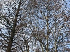 -贵阳市花溪国家城市湿地公园