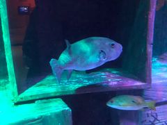 -沈阳海洋探索中心