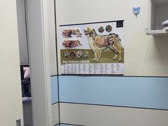 -中农国际动物医院24小时·猫科·骨科·急重症中心