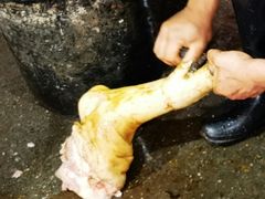 -城南综合水果批发市场(花园路店)