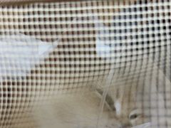 -美联众合动物医院·24h京西诊疗中心