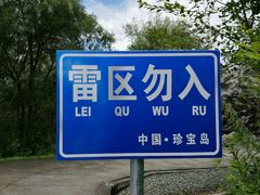 -珍宝岛