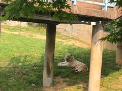 -无锡动物园·太湖欢乐园